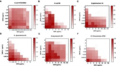 Antibiotic synergist OM19r reverses aminoglycoside resistance in multidrug-resistant Escherichia coli